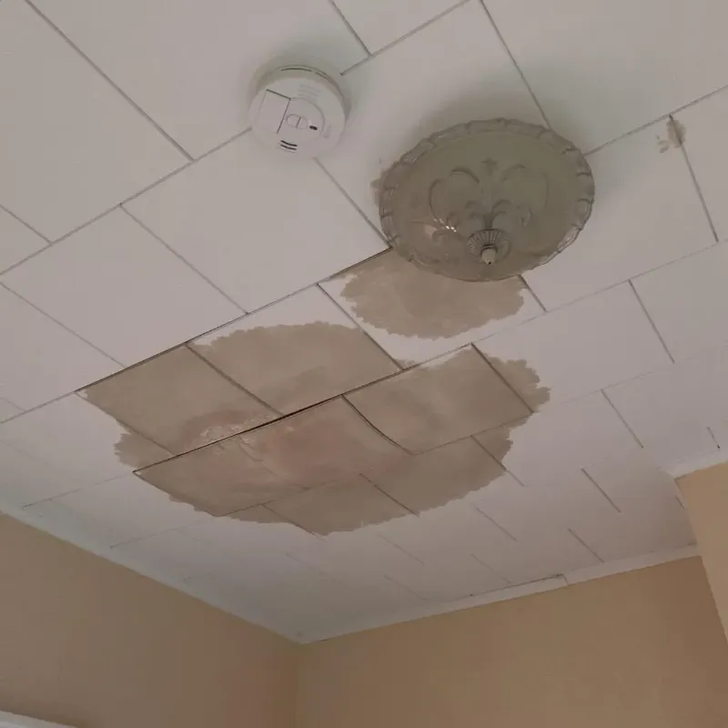 Ceiling Water Damage Repair in McEwen, TN