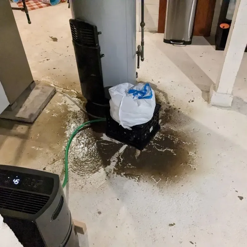 Sewage Backup Cleanup Service in McEwen, TN